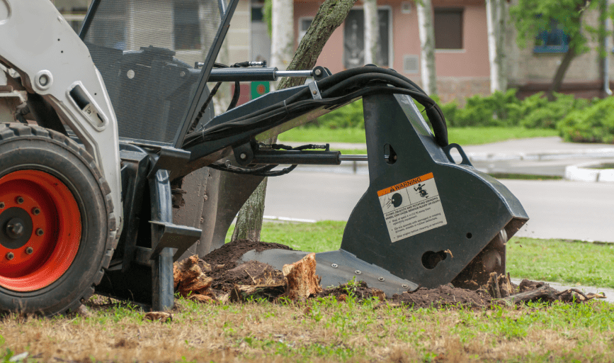 STUMP REMOVAL